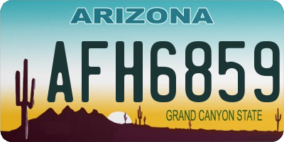 AZ license plate AFH6859