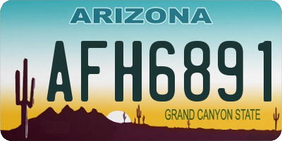 AZ license plate AFH6891
