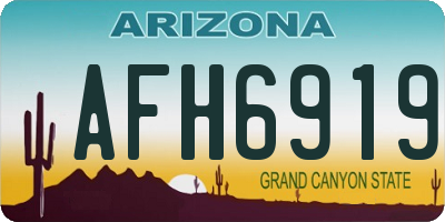 AZ license plate AFH6919