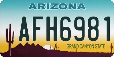 AZ license plate AFH6981
