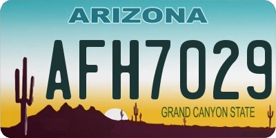 AZ license plate AFH7029