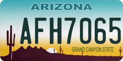 AZ license plate AFH7065