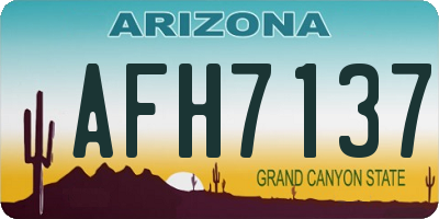 AZ license plate AFH7137