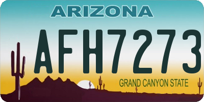 AZ license plate AFH7273