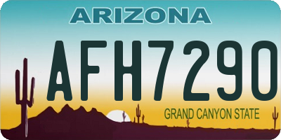 AZ license plate AFH7290