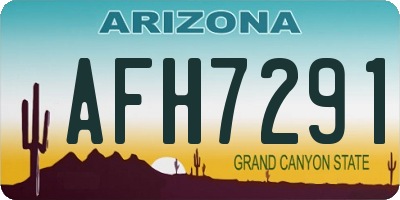 AZ license plate AFH7291