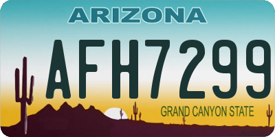 AZ license plate AFH7299