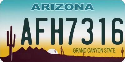 AZ license plate AFH7316