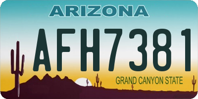 AZ license plate AFH7381