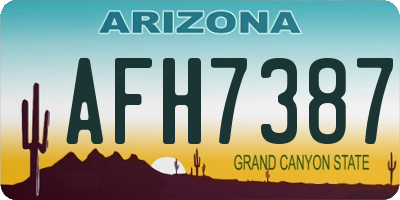 AZ license plate AFH7387