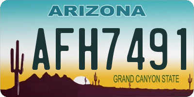 AZ license plate AFH7491