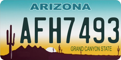 AZ license plate AFH7493