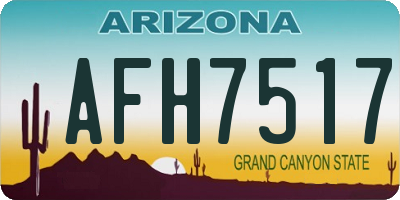 AZ license plate AFH7517