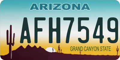 AZ license plate AFH7549