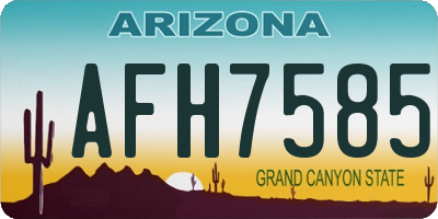 AZ license plate AFH7585