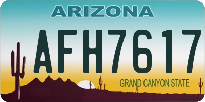 AZ license plate AFH7617