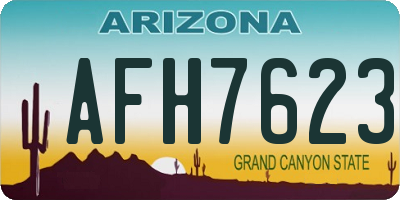 AZ license plate AFH7623