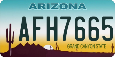 AZ license plate AFH7665