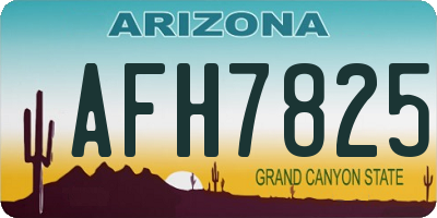 AZ license plate AFH7825