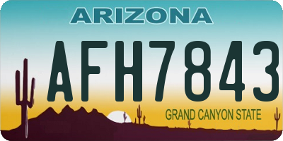 AZ license plate AFH7843