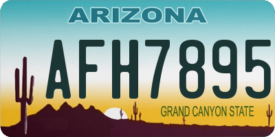 AZ license plate AFH7895