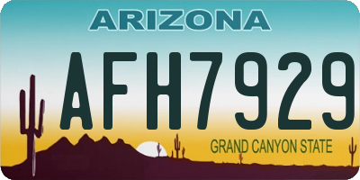 AZ license plate AFH7929
