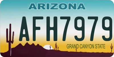 AZ license plate AFH7979