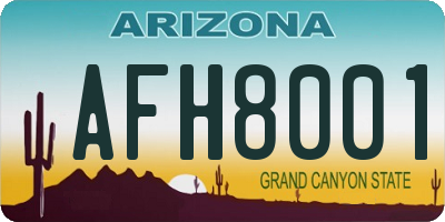 AZ license plate AFH8001