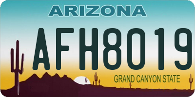 AZ license plate AFH8019
