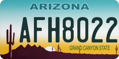 AZ license plate AFH8022