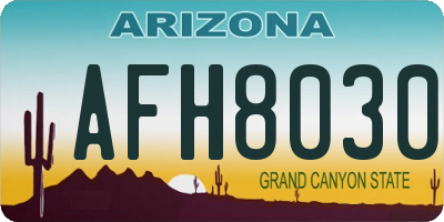 AZ license plate AFH8030