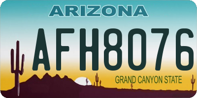 AZ license plate AFH8076