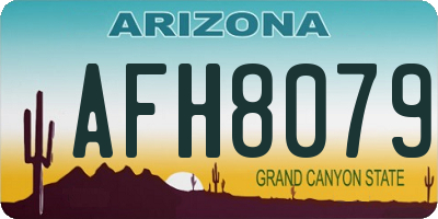 AZ license plate AFH8079