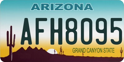 AZ license plate AFH8095
