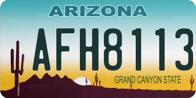 AZ license plate AFH8113