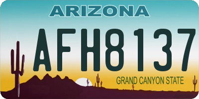 AZ license plate AFH8137