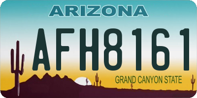 AZ license plate AFH8161