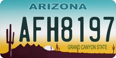 AZ license plate AFH8197