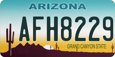 AZ license plate AFH8229