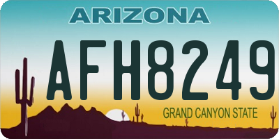 AZ license plate AFH8249