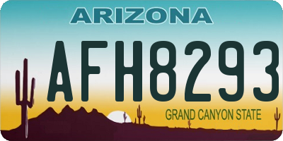 AZ license plate AFH8293