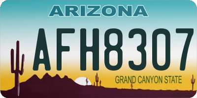 AZ license plate AFH8307