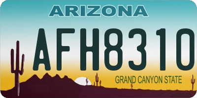 AZ license plate AFH8310