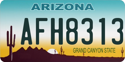 AZ license plate AFH8313