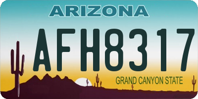 AZ license plate AFH8317