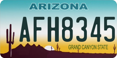 AZ license plate AFH8345