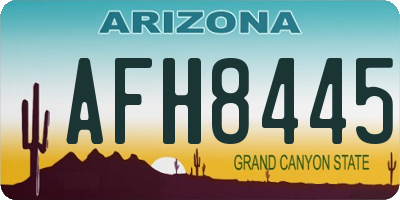 AZ license plate AFH8445