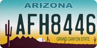 AZ license plate AFH8446