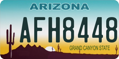AZ license plate AFH8448