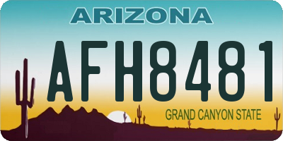 AZ license plate AFH8481